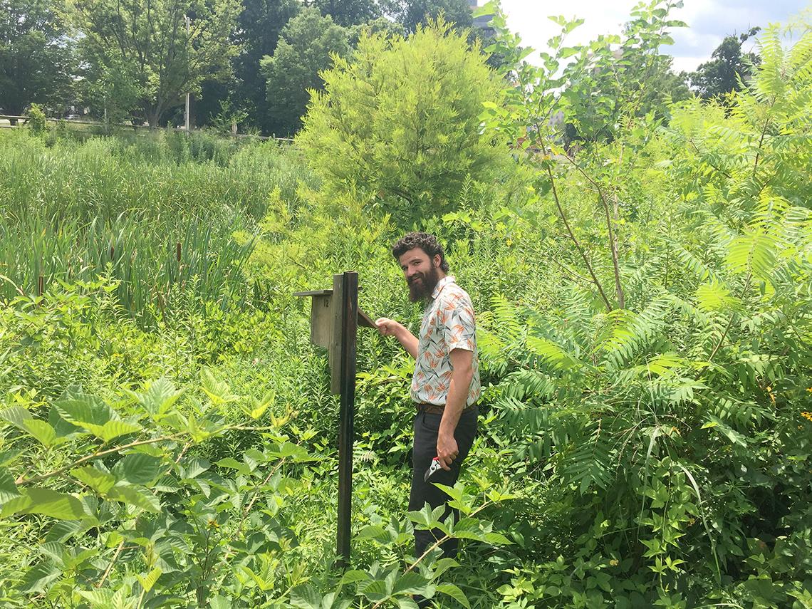 Mueller monitors a bluebird box