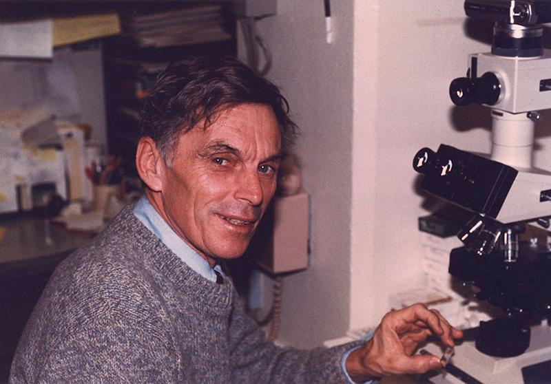 Dr. Michael Potter poses with a tumor sample at a microscope.