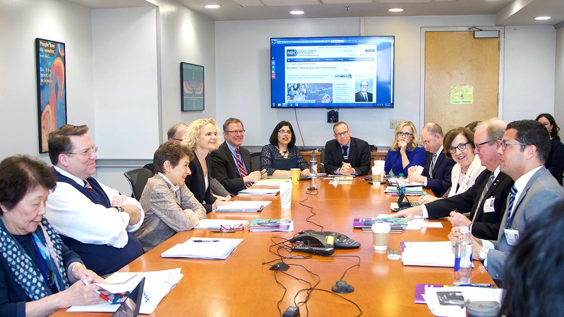NIH and ADA staff at a conference table