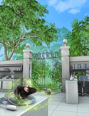 Illustration showing lab mice at the entrance of a park with an open gate marked Natural World
