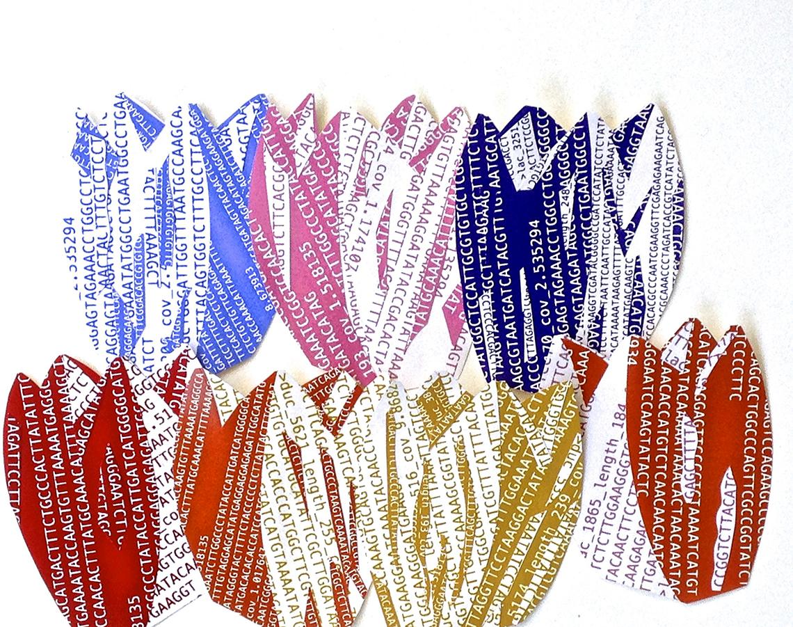Several tulip-shaped collages using DNA sequences