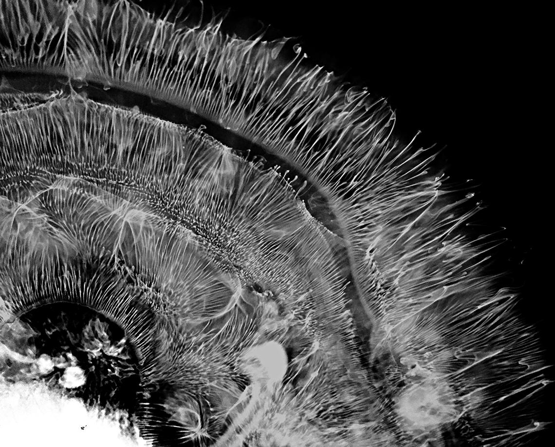 A waterdrop captured at lightspeed