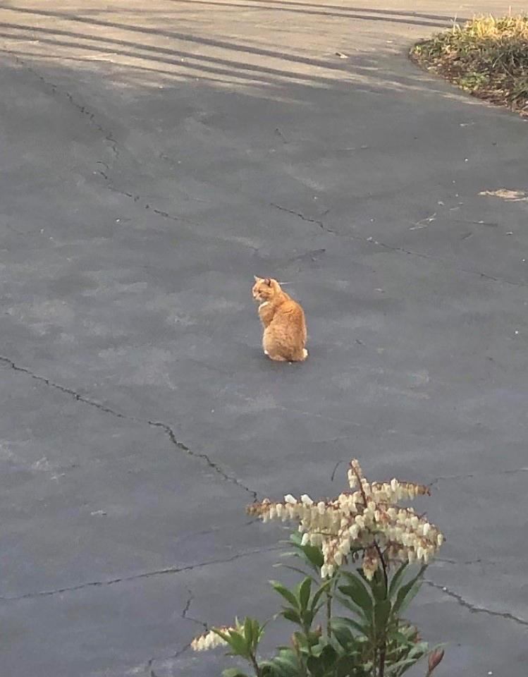 A wait sits on concrete