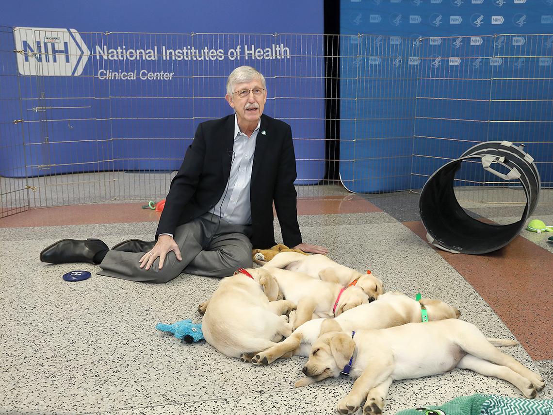 Collins sits on floor with several puppies asleep, nestled together in front of him.