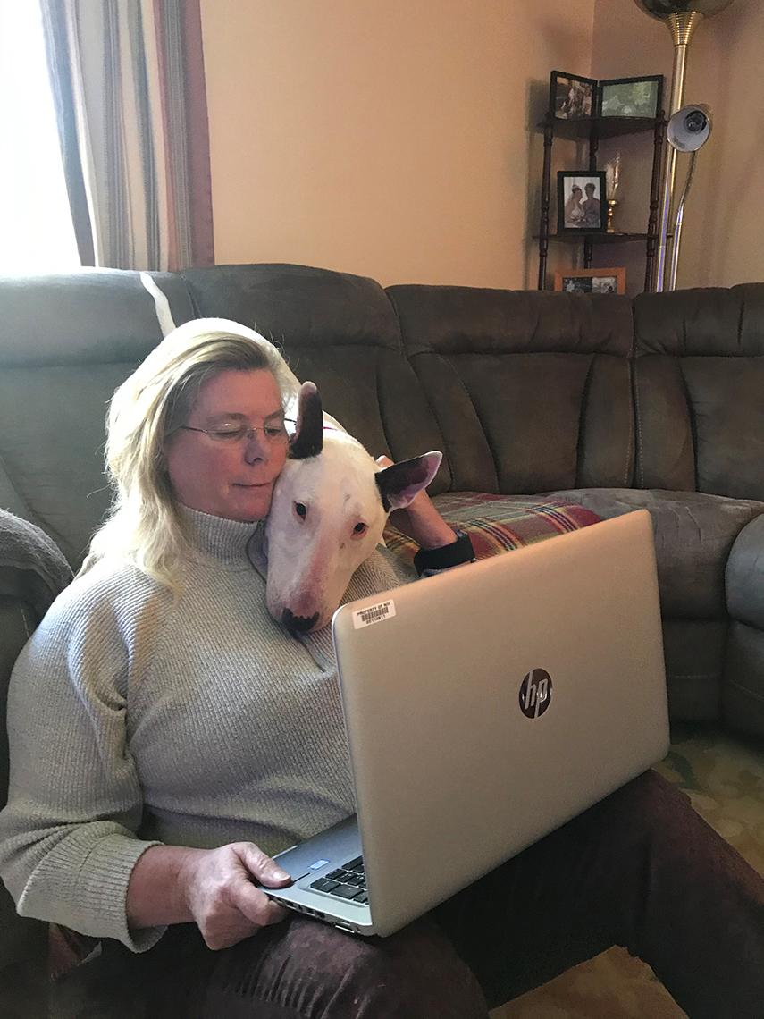 Dog on couch peers with owner at screen.