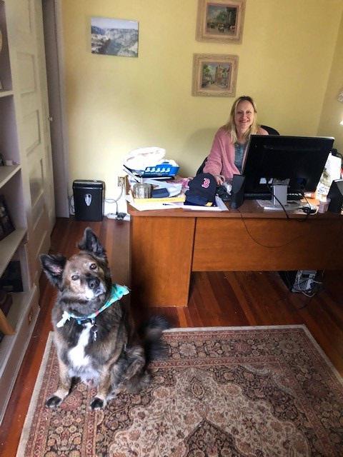Worker at desk with onlooking pup.