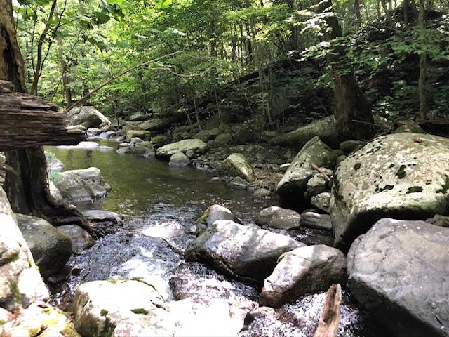 Creek flowing through large rocks and vegetation