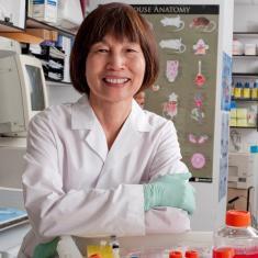 Dr. Sheue-yann Cheng