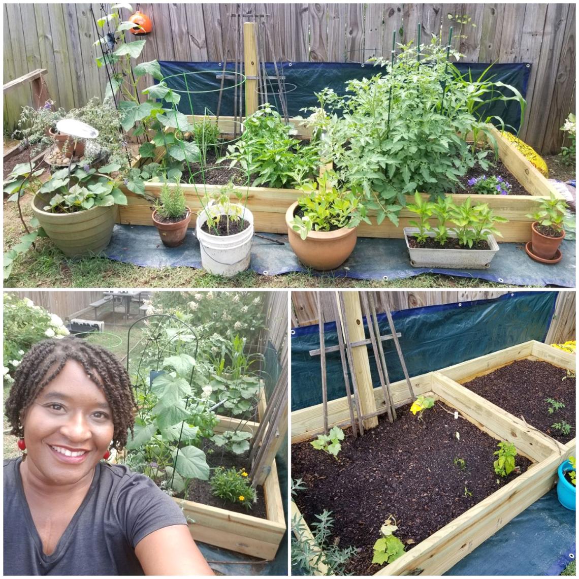 Three photos show Shropshire's garden at three different stages