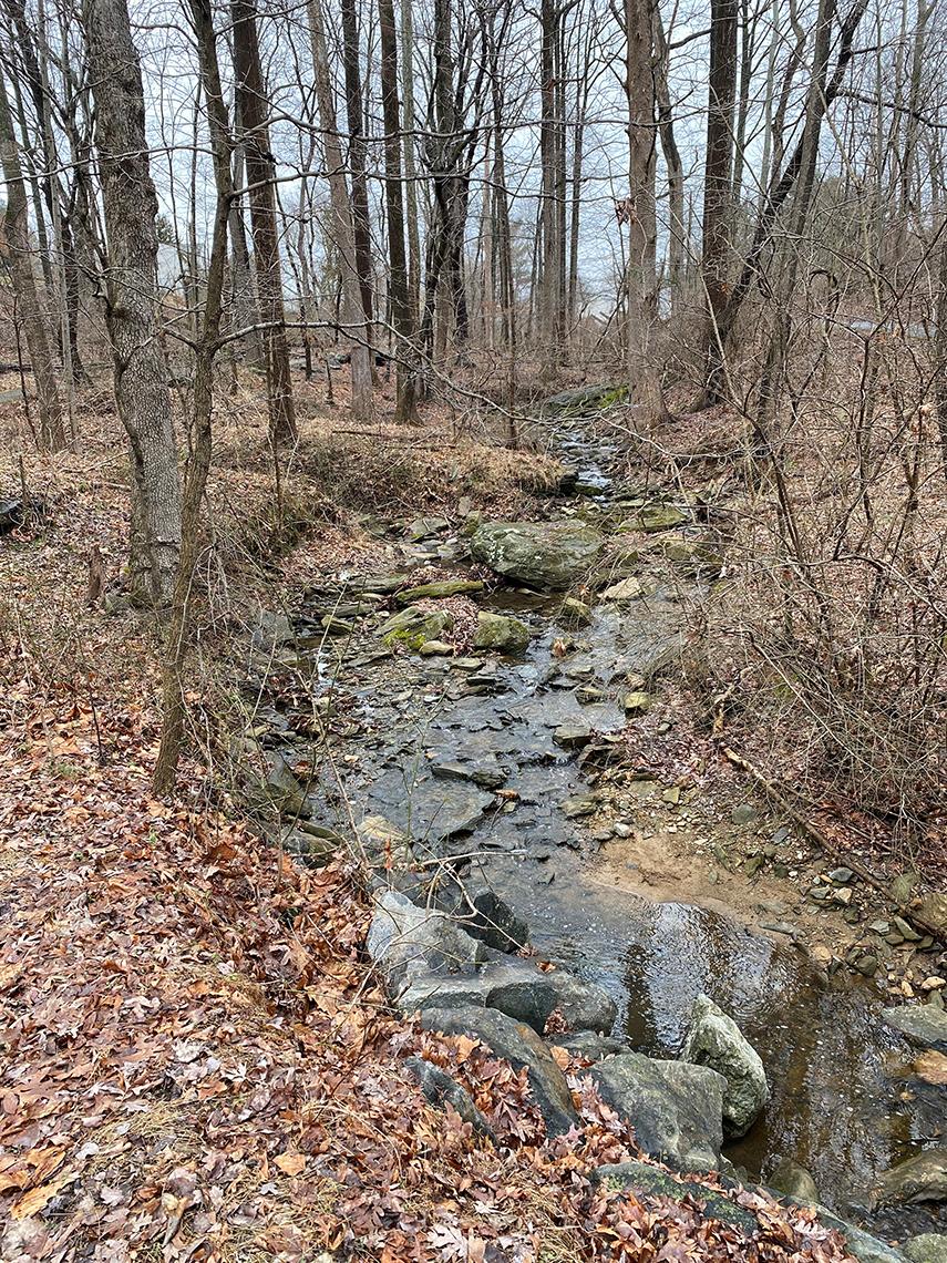 Seneca Creek State Park