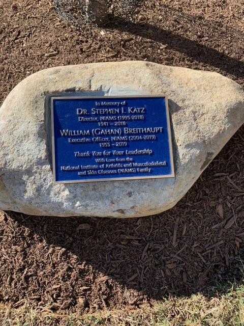 A view of the plaque