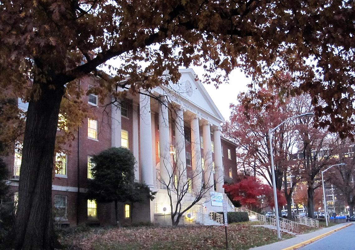 Building front with white columns and grand staircase at dusk in autumn