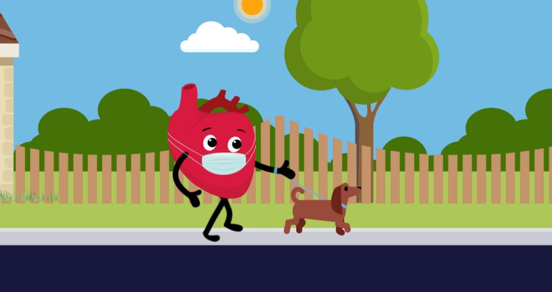 A cartoon heart wears a face mask and walks a dog