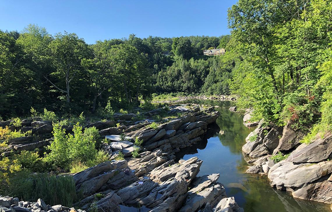 River view framed by trees