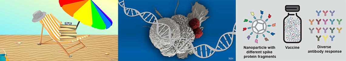 Three graphics George helped design: 1 is a stack of books atop a beach chair underneath a colorful umbrella by the sea; 2 is double-stranded DNA running across a cancerous cell; 3 is a vaccine bottle with nanoparticles and colorful Ys representing antibody responses.