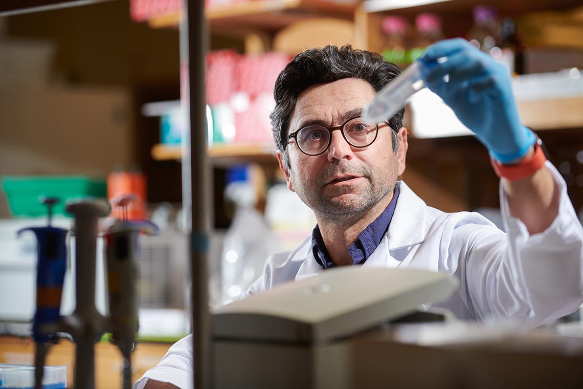 Patapoutian holds up a test tube in a lab setting