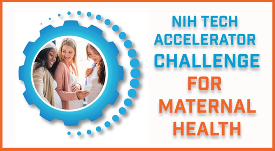 Competition poster art featuring title and image of 3 pregnant women