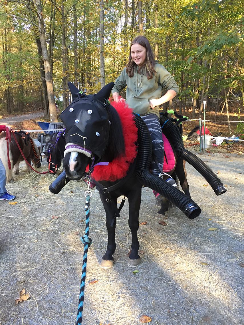 A black pony with black tubes as spider legs
