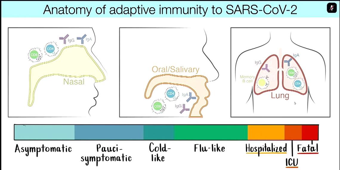 A slide shows SARS-CoV-2 enters quickly through nose and mouth; image on right shows the virus in the lungs.