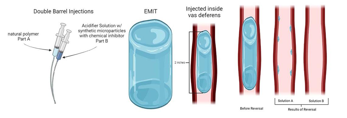 A diagram depicts how the EMIT functions