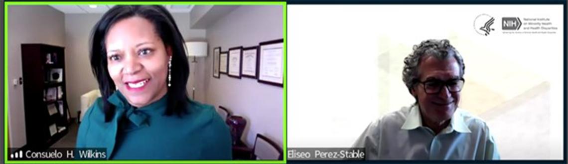 A screenshot of Wilkins and Stable