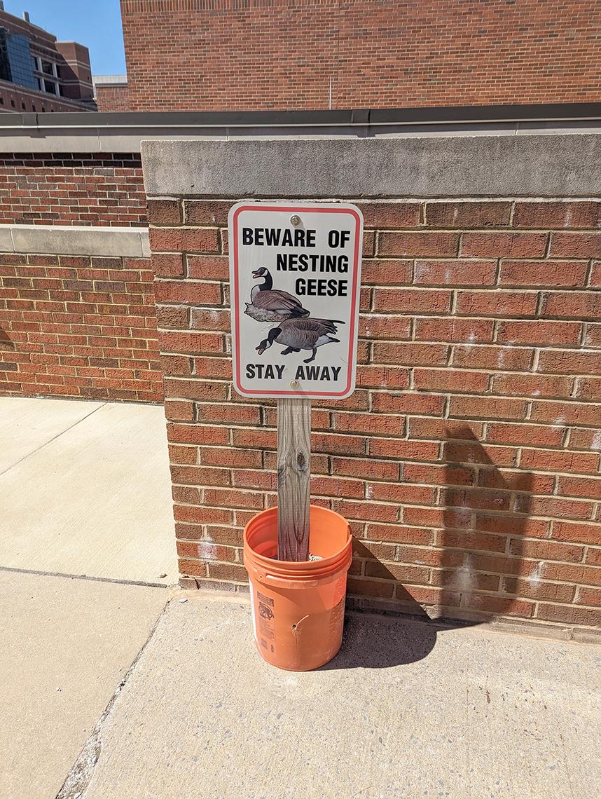 A sign that reads "Beware of Nesting Geese, Stay Away"