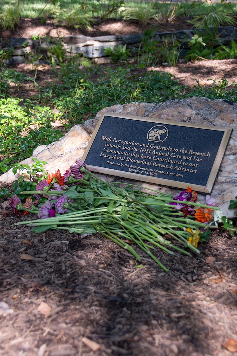 Flowers rest at the base of the plaque