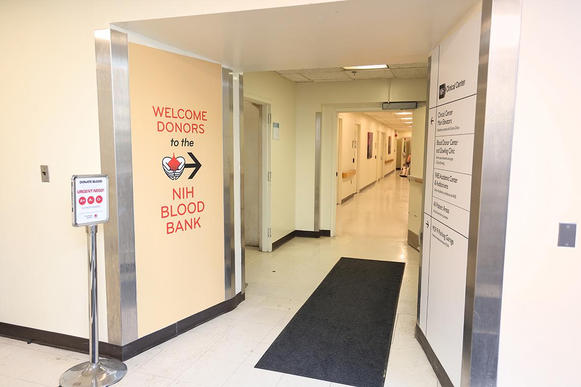 View of corridor leading to the new Blood Bank, with arrow signs pointed the way