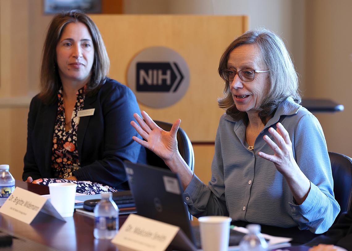 Two women seated at a conference table. One is gesturing with her hands, speaking.