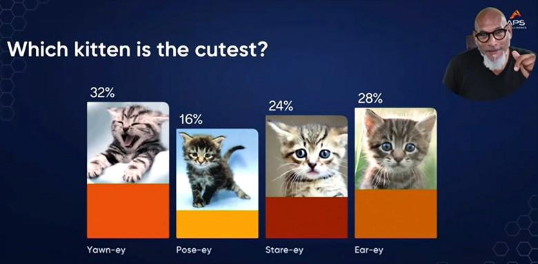 A slide featuring the results of a which cat is the cutest poll along with kitten photos