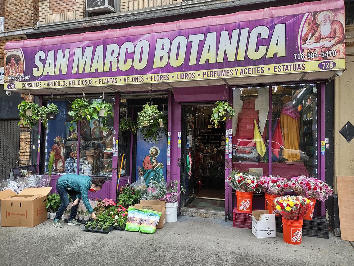 A purple storefront with various flower and plant displays