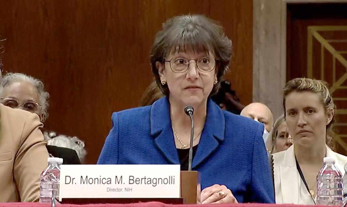 Bertagnolli, seated at a Senate hearing table, with mic in front