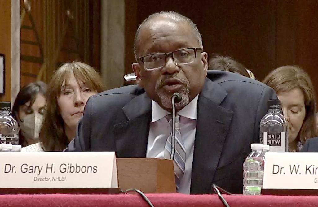 Gibbons, seated at a Senate hearing table, with mic in front