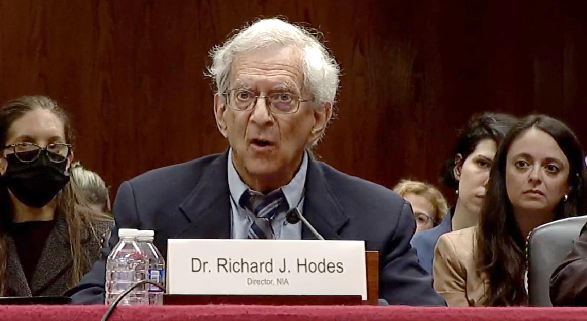 Hodes, seated at a Senate hearing table, with mic in front