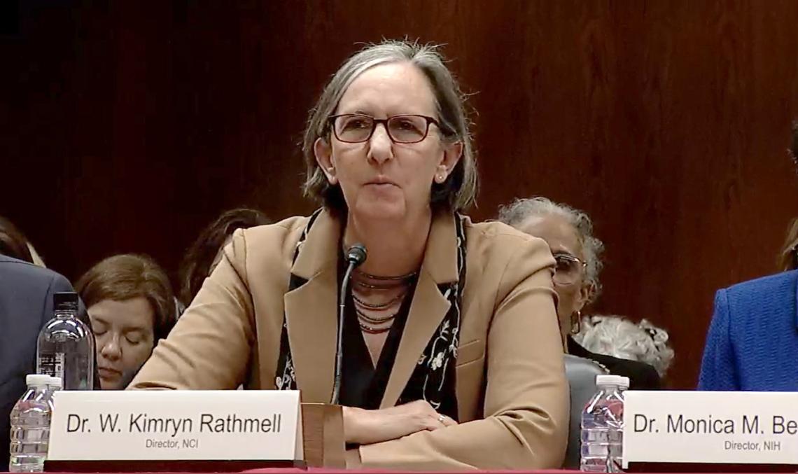 Rathmell, seated at a Senate hearing table, with mic in front