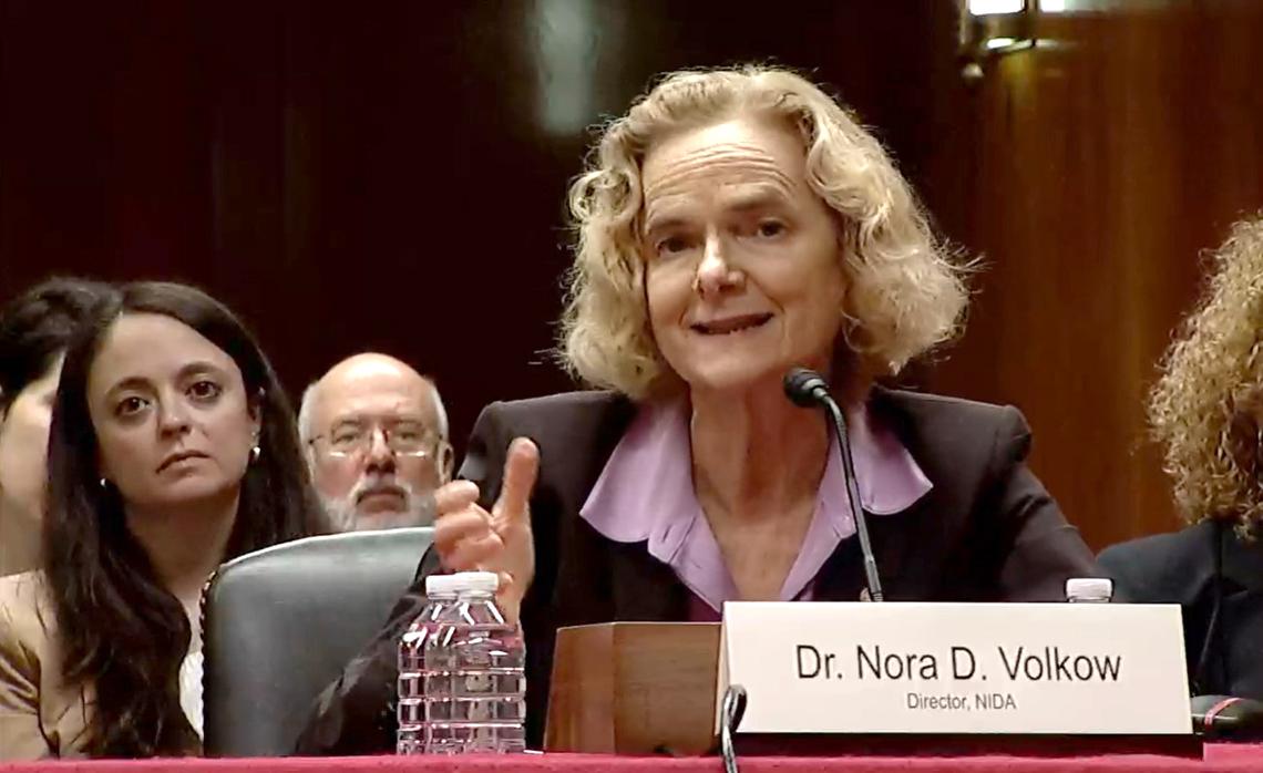 Volkow, seated at a Senate hearing table, with mic in front