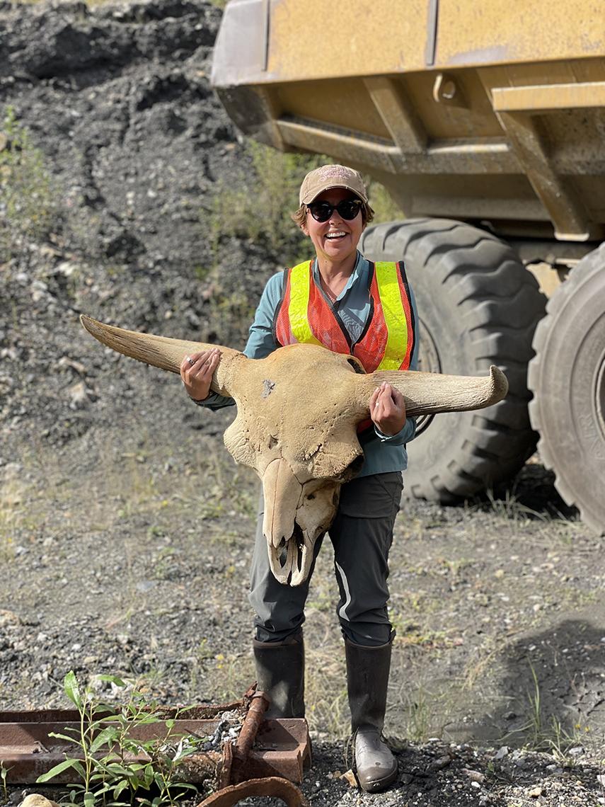 Shapiro holds up an ancient bison skull 