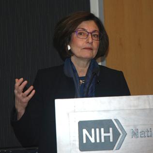 Dr. Fried speaks at podium.