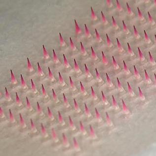 A close-up view of the patch shows many tiny pink needles.