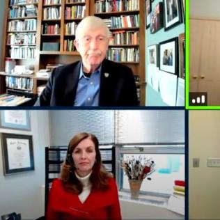 Screenshot of virtual meeting blocks