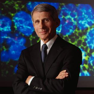 Dr. Fauci portrait