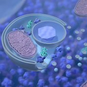 Scientific rendering of pink oval maze surrounded by blue and green bubbles