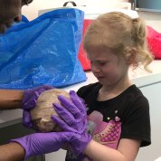 Natalie Hash, 5 years old, makes squeamish face while holding an adult brain
