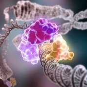 Double helix wrapped in purple, pink, and yellow bubble-like structure