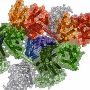 3-D computational model of a macromolecular complex