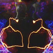 Two neurons in the locust brain, one red and one blue