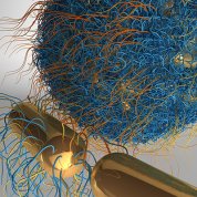 science image of blue and gold threads tangled into a ball on top of two gold rods