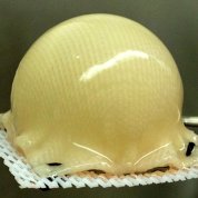 Shiny cartilage grown from stem cells