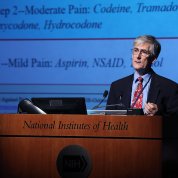 Dr. Mannes at podium.