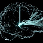 Light Me Up brain image